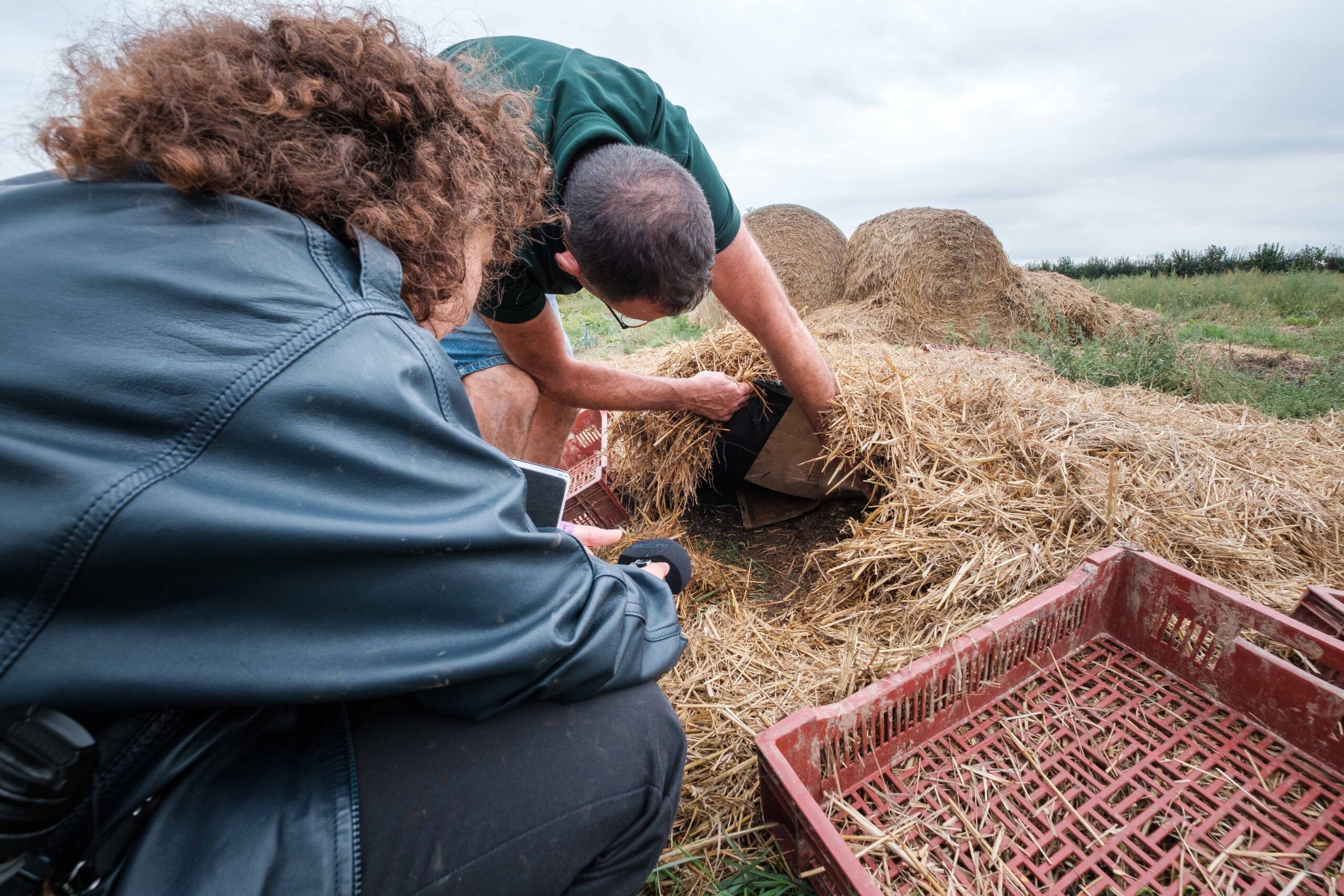 Pas-de-Calais : l'agriculture face au changement climatique